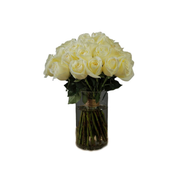 White Rose Flowers in Vase